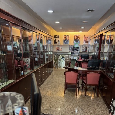 Equipamentos de Oftalmologia | Mobiliário de Escritório | Lote de Óculos de sol e de armação ( diversas marcas e modelos) -  LISBOA 