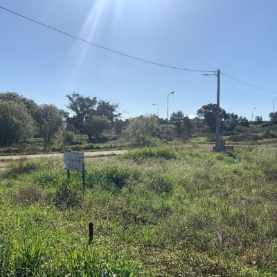 38 Lotes de terreno p/ construção ( desde 186m2 a 2.019m2) - Freguesia de SÃO LUÍS, Concelho de ODEMIRA