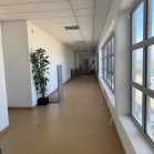 Armazém ( 661m2) - Freguesia de REBORDOSA, concelho de PAREDES 