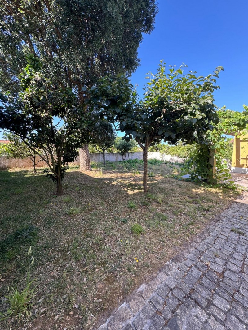 Moradia de r/c e 1º andar com terraço e logradouro - Freguesia de AVANCA, concelho de ESTARREJA 