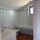 Herdade de Almada : Moradia Unifamiliar, com anexo e logradouro com piscina | Terreno rústico c/ moradia edificada ( construção não legalizada) - FOROS DE CHARNECA - BENAVENTE 