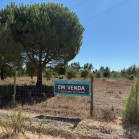 Herdade de Almada : Moradia Unifamiliar, com anexo e logradouro com piscina | Terreno rústico c/ moradia edificada ( construção não legalizada) - FOROS DE CHARNECA - BENAVENTE 