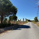 Herdade de Almada : Moradia Unifamiliar, com anexo e logradouro com piscina | Terreno rústico c/ moradia edificada ( construção não legalizada) - FOROS DE CHARNECA - BENAVENTE 