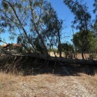 Herdade de Almada : Moradia Unifamiliar, com anexo e logradouro com piscina | Terreno rústico c/ moradia edificada ( construção não legalizada) - FOROS DE CHARNECA - BENAVENTE 