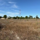 Herdade de Almada : Moradia Unifamiliar, com anexo e logradouro com piscina | Terreno rústico c/ moradia edificada ( construção não legalizada) - FOROS DE CHARNECA - BENAVENTE 