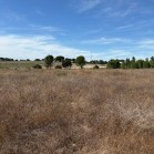 Herdade de Almada : Moradia Unifamiliar, com anexo e logradouro com piscina | Terreno rústico c/ moradia edificada ( construção não legalizada) - FOROS DE CHARNECA - BENAVENTE 