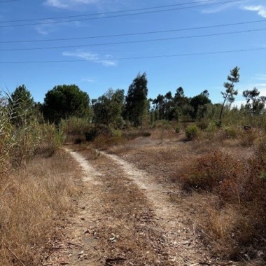 Herdade de Almada : Moradia Unifamiliar, com anexo e logradouro com piscina | Terreno rústico c/ moradia edificada ( construção não legalizada) - FOROS DE CHARNECA - BENAVENTE 