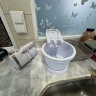 Bens de Restauração - QUINTA DO CONDE 