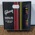 Conjunto de pedais de efeitos, condensadores e potenciómetros 