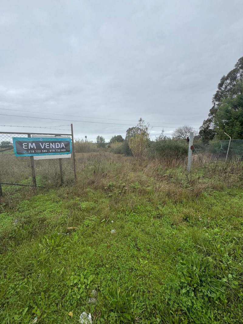 Terreno urbano para construção com a área total de 9.200m2 - Lugar de Pontal, Freguesia de PEGÕES, Concelho de MONTIJO