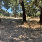 28 Lotes de terreno - Quinta da Varzinha - Freguesia de São Sebastião, Concelho de Setúbal 